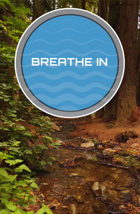 breathe screenshot