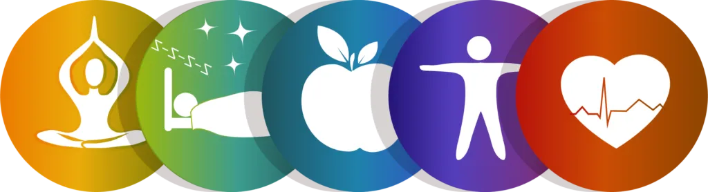 The Evolution of Fitness to Total Body Wellness 1 wellness 1024x278 1